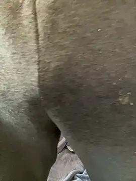 Enos3 online show from 04/16/26, 11:55