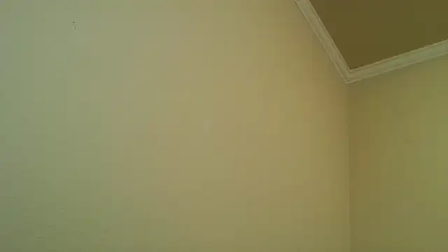 Snapshot of YelpedAverting chatting on 12/17/25, 12:49 YelpedAverting online show from 12/17/25, 12:49