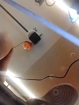 halobabe7620 online show from 10/14/25, 03:35