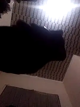 Blackpenis28 online show from 05/02/26, 01:54