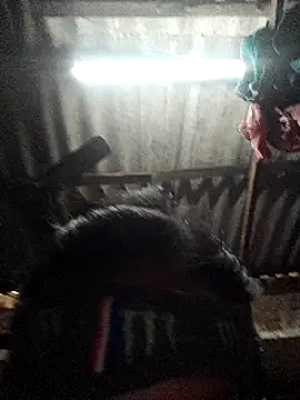 HotSexyBoudi online show from 01/12/25, 08:57