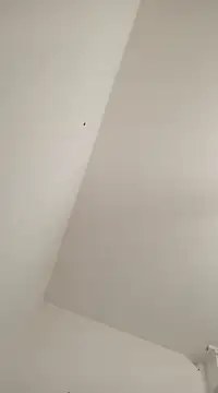 Anitabambola online show from 03/05/25, 11:27