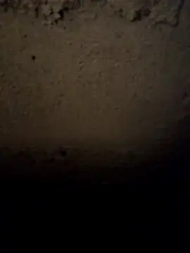 Snapshot of camila_picante chatting on 03/31/26, 03:56 camila picante online show from 03/31/26, 03:56