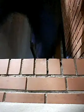 Petrossa online show from 11/24/25, 12:21