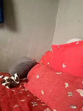 Petrossa online show from 01/13/26, 11:48