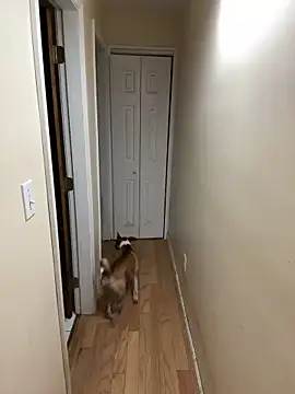 Snapshot of DaddySnowXX chatting on 12/16/24, 11:33 DaddySnowXX online show from 12/16/24, 11:33