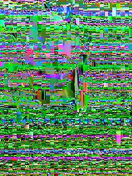 DaddySnowXX online show from 05/29/26, 03:26