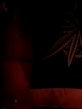 ySqmbVanbe online show from 02/06/26, 08:29