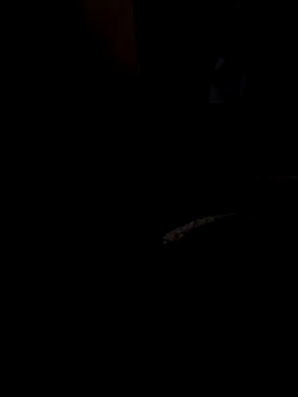 ySqmbVanbe online show from 03/13/26, 08:43