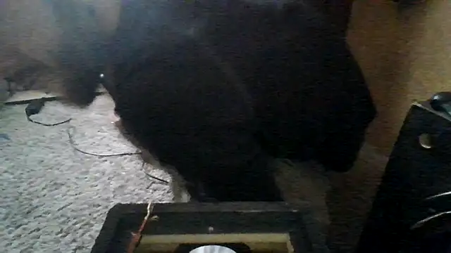 ySqmbVanbe online show from 03/15/26, 05:52