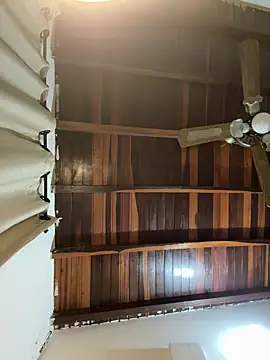 tom thick online show from 03/11/25, 02:32