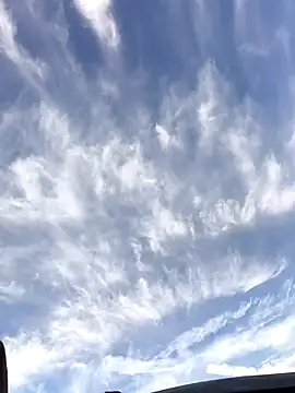 FloppyPickle4u online show from 01/19/26, 04:11