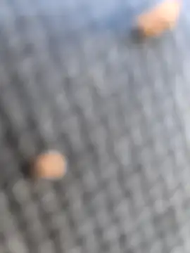 FloppyPickle4u online show from 03/07/26, 02:36