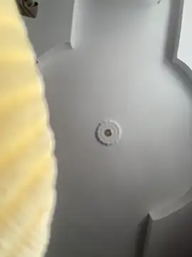 emiss  online show from 10/08/25, 02:14