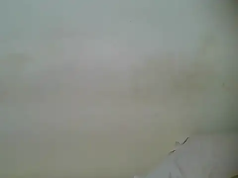 Snapshot of HotJeylee chatting on 02/28/25, 01:25 HotJeylee online show from 02/28/25, 01:25