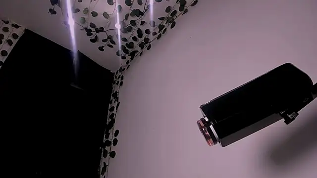 Snapshot of Young_laroi chatting on 02/19/25, 08:12 Young laroi online show from 02/19/25, 08:12