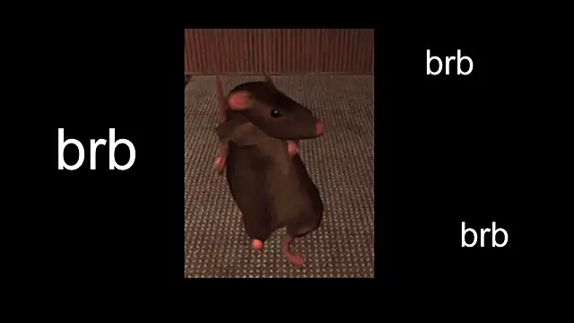 Sam Mystery online show from 02/13/25, 11:06