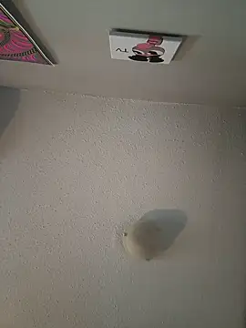 Your Paris online show from 02/09/25, 03:23