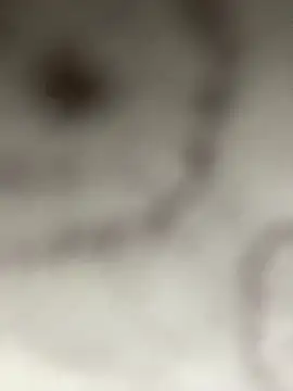 Snapshot of Leyna_liu chatting on 01/11/25, 03:13 Leyna liu online show from 01/11/25, 03:13