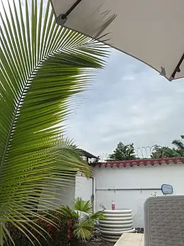 Snapshot of Ema_azel chatting on 02/16/25, 02:00 Ema azel online show from 02/16/25, 02:00