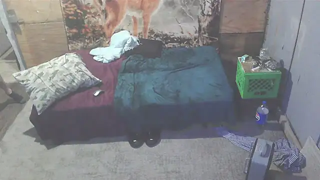 Smurfschmidt online show from 01/07/25, 03:46