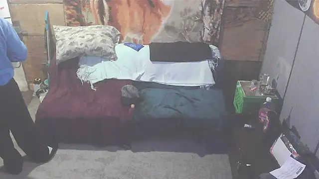 Smurfschmidt online show from 01/14/25, 07:43