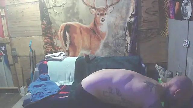 Smurfschmidt online show from 02/01/25, 12:29