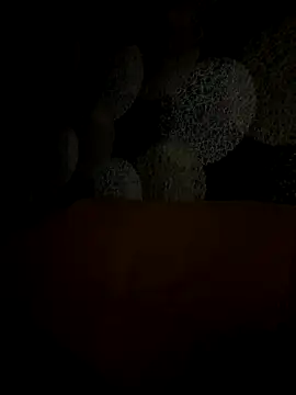 Kristis43 online show from 10/31/25, 05:36