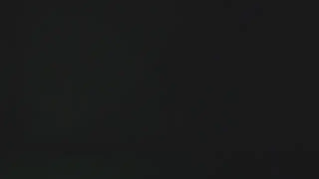 eleecttraa 12 online show from 01/17/26, 10:09