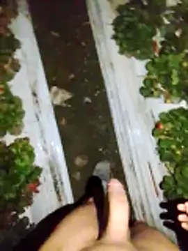 dfff125ff online show from 11/13/25, 05:39