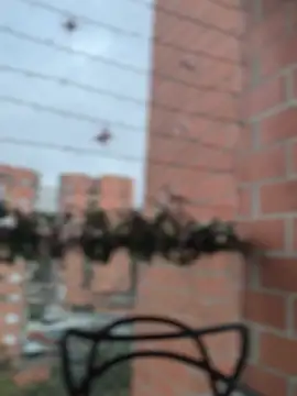 Snapshot of ValerieHilton chatting on 12/27/24, 10:59 ValerieHilton online show from 12/27/24, 10:59