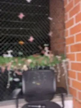 Snapshot of ValerieHilton chatting on 01/12/25, 12:18 ValerieHilton online show from 01/12/25, 12:18