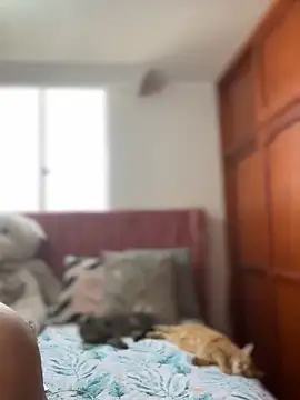 Snapshot of ValerieHilton chatting on 03/12/25, 09:13 ValerieHilton online show from 03/12/25, 09:13