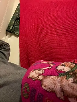 Snapshot of A6229 chatting on 02/26/25, 11:09 A6229 online show from 02/26/25, 11:09