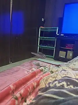 A6229 online show from 05/07/26, 02:11