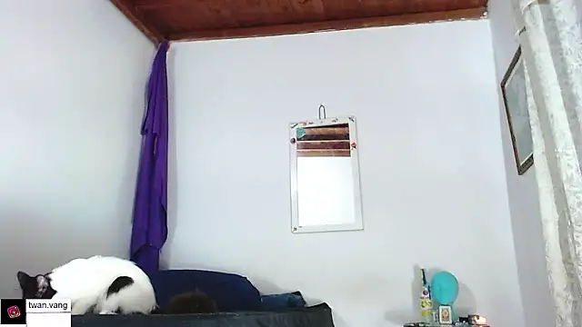 Snapshot of Trix_fiore_oficial chatting on 01/14/26, 03:01 Trix fiore oficial online show from 01/14/26, 03:01