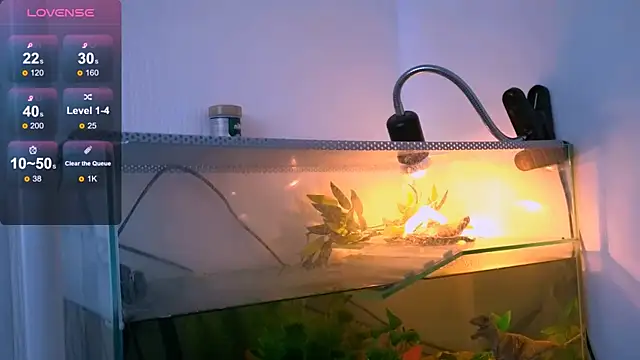 Britney Lynch online show from 04/21/26, 02:51