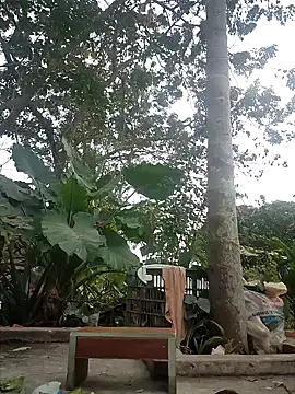 Snapshot of zizi_public chatting on 12/30/24, 07:26 zizi public online show from 12/30/24, 07:26