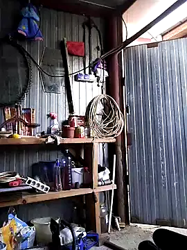 Sarpe84 online show from 12/22/24, 02:16