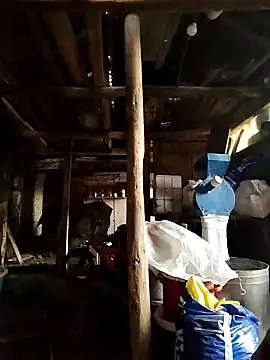 Sarpe84 online show from 01/19/25, 05:48