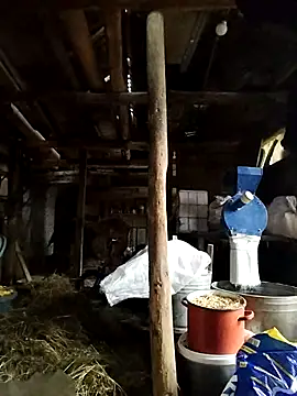 Sarpe84 online show from 01/24/25, 06:03