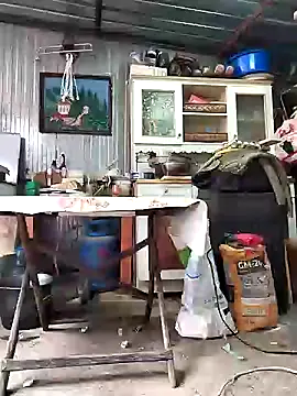 Sarpe84 online show from 01/24/25, 09:17