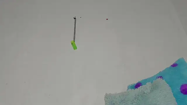 sebas rose online show from 12/11/24, 12:44