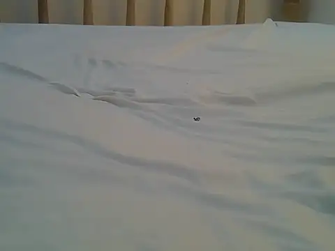 Mercydiva online show from 02/09/26, 07:23