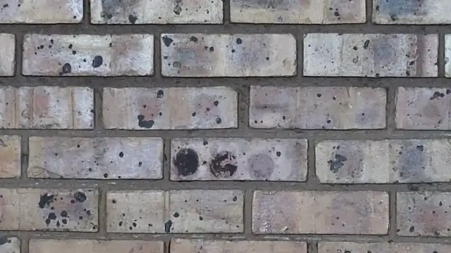 Astoria Moon online show from 02/10/25, 07:07