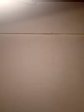 AmazonianMistress online show from 09/21/25, 01:57