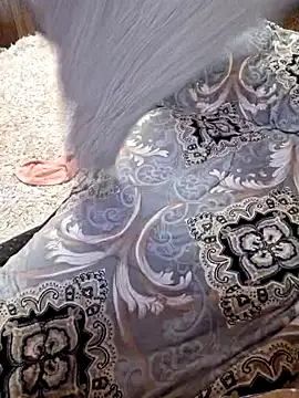  Kitti  online show from 01/22/25, 08:49