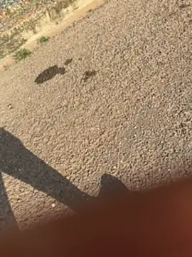 Black-mamba-madingo online show from 09/30/25, 03:39