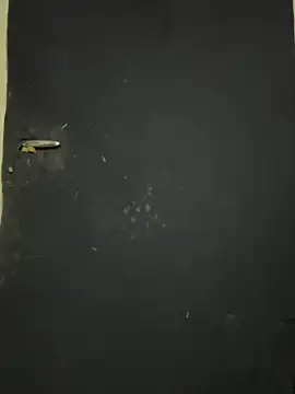 Black-mamba-madingo online show from 10/09/25, 12:25