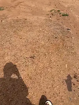 Black-mamba-madingo online show from 03/28/26, 09:42